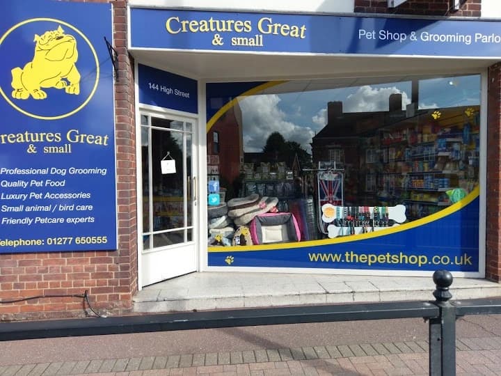 Creatures Great and Small in Billericay