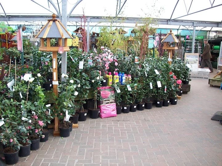 Abercorn Plant & Garden Centre in Chelmsford